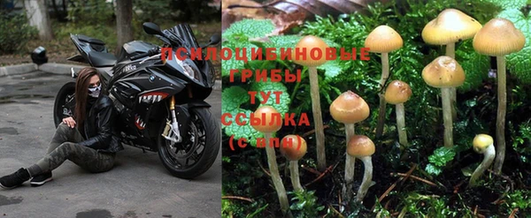 соль ск Володарск